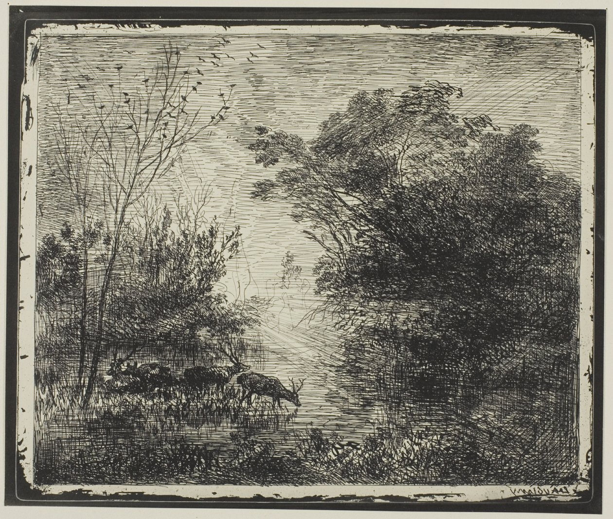 Stags by Charles Francois Daubigny