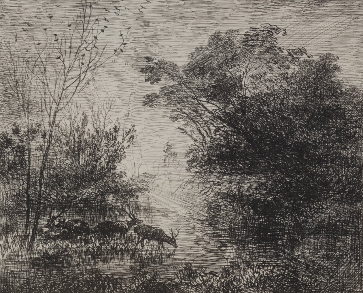 Stags, original impression 1862, printed in 1921 by Charles Francois Daubigny