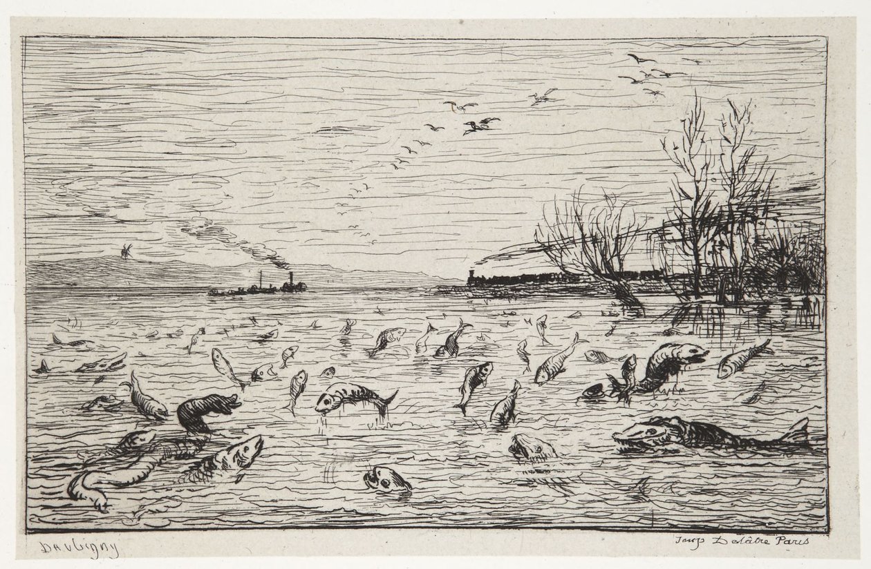 The Fish Rejoice in the Departure of the Cabin Boy by Charles Francois Daubigny