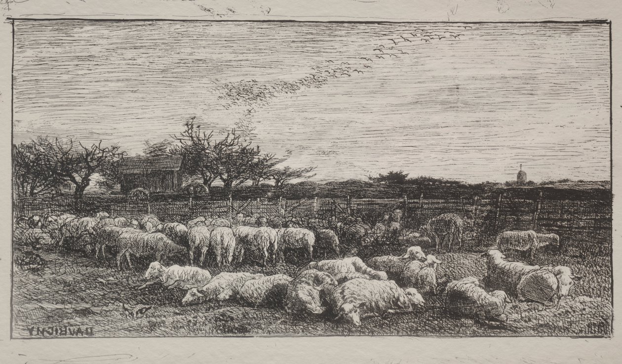 The Large Sheepfold by Charles Francois Daubigny