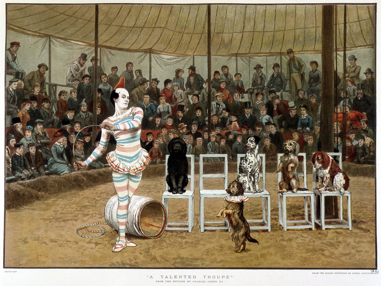 The learned dogs: circus scene with clown and dogs - after Charles Green, English chromo 1885 by Charles Green