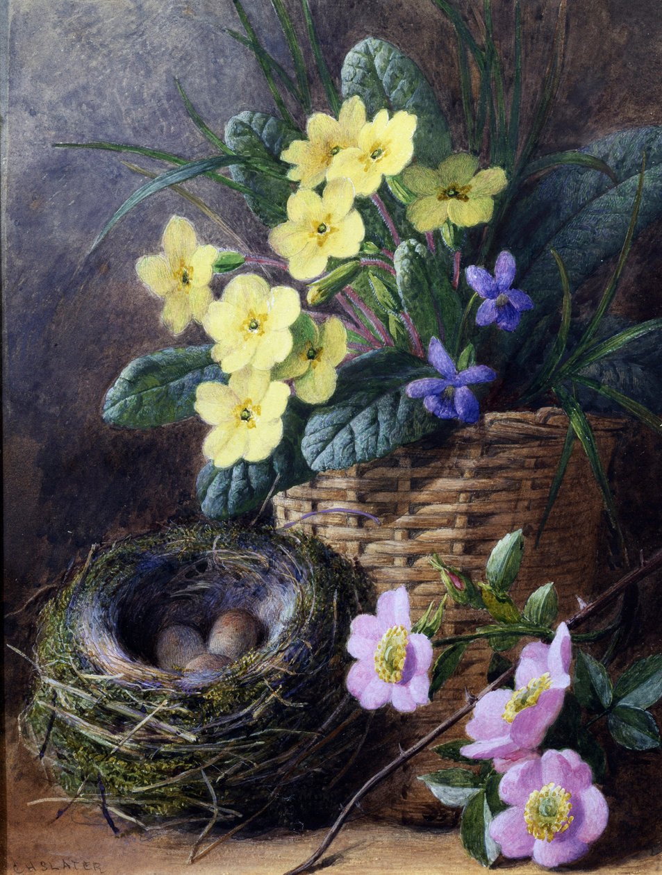 Still Life of Primroses, Violets and Roses. Still Life with Nest and Eggs and Flowers by Charles H. Slater