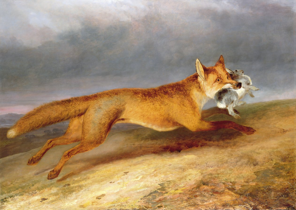 Fox Making Off with a Rabbit by Charles Hancock