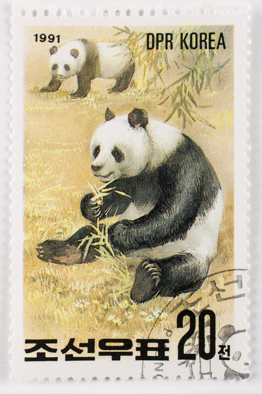 Stamp, North Korea, Giant Panda by Augustus Kollner