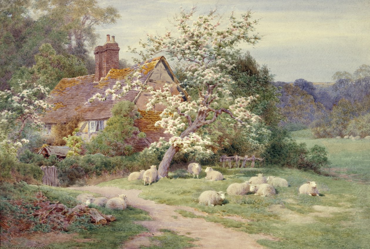 Sheep outside a Cottage in Springtime by Charles James Adams