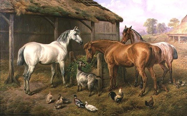 Farmyard Friends by Charles Jones