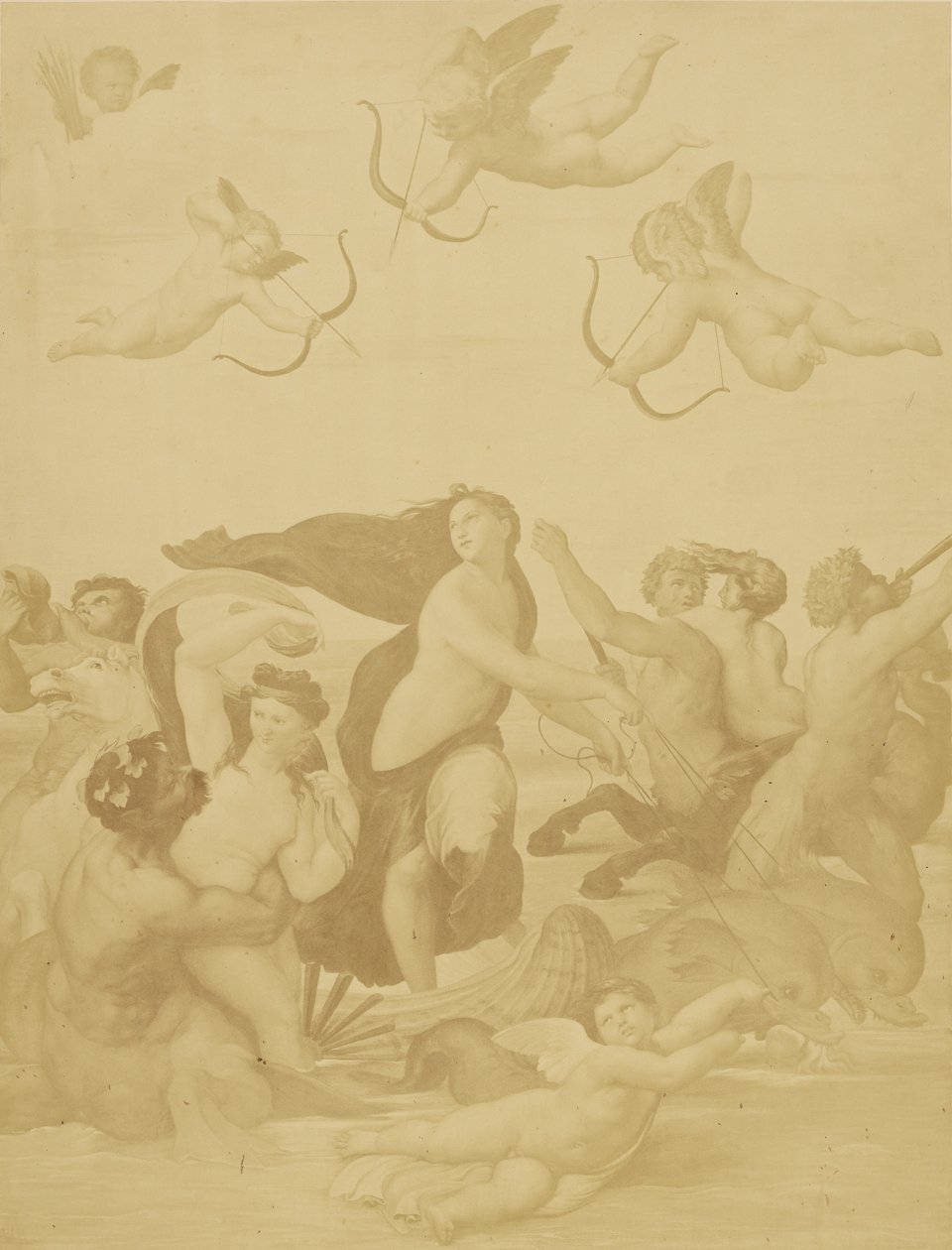 Galatea (Reproduction) by Charles Marville