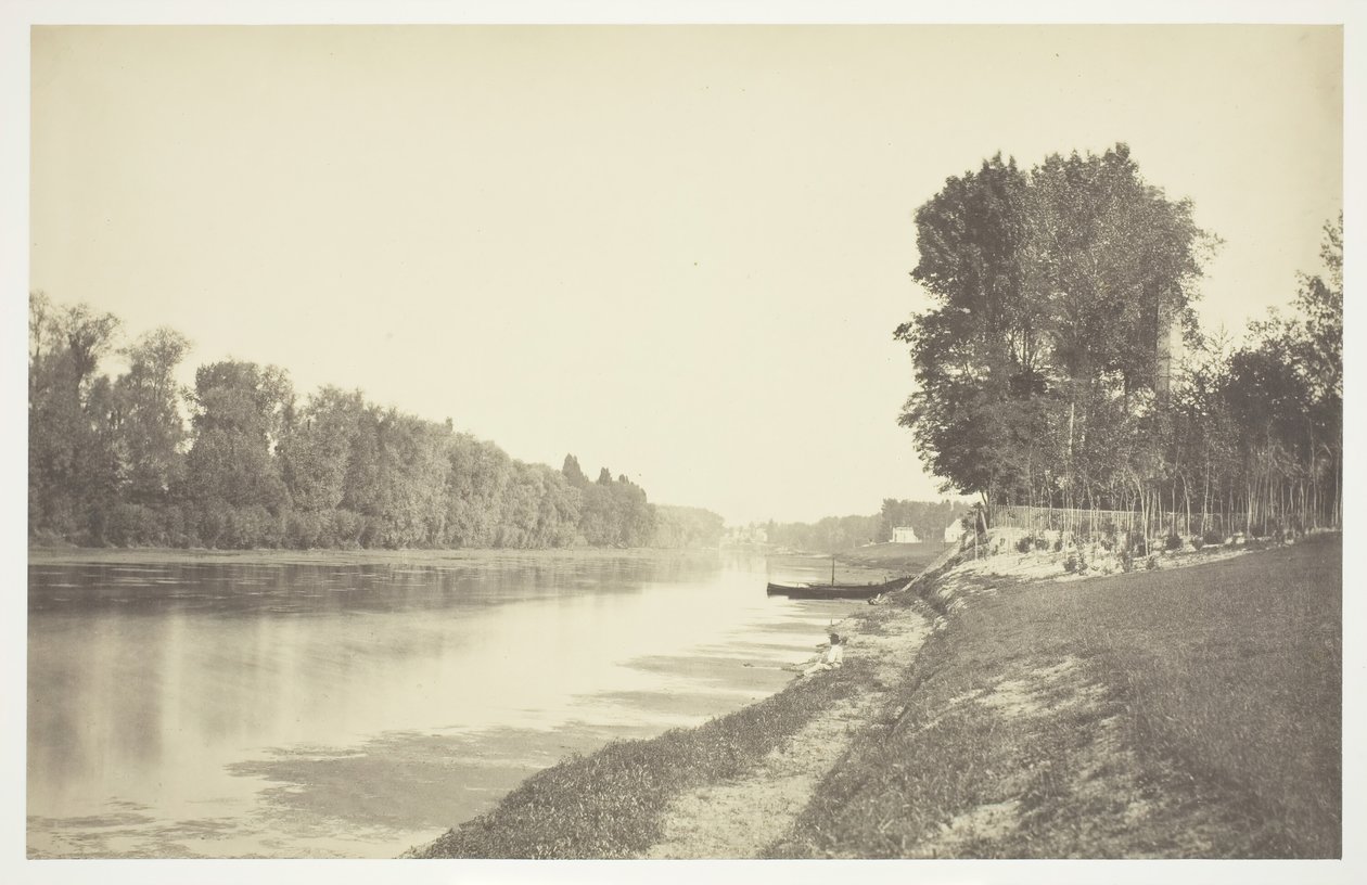 Untitled [Trees near water in the Bois de Boulogne, a park in Paris] by Charles Marville