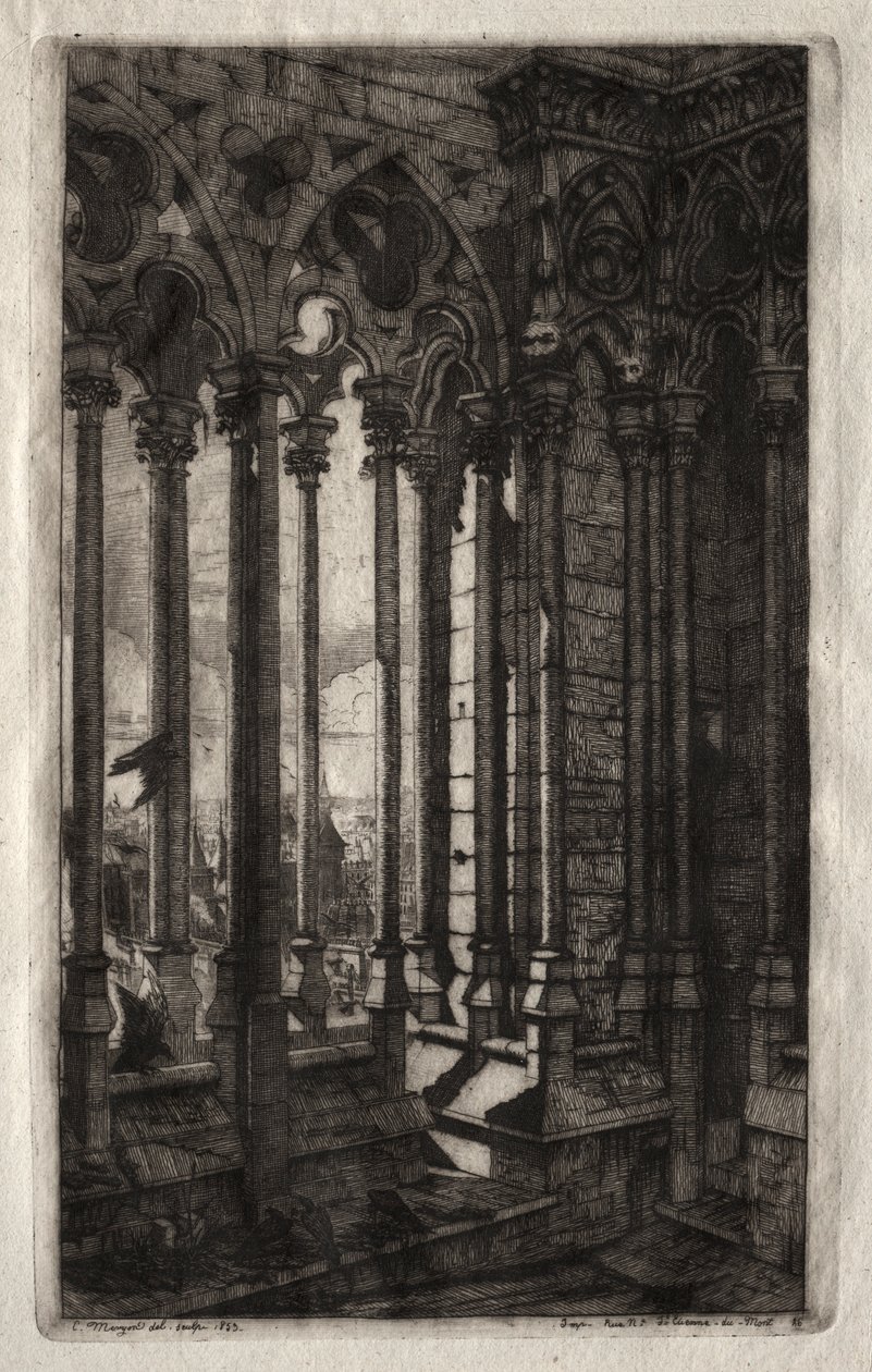 Etchings of Paris: The Gallery of Notre Dame by Charles Meryon