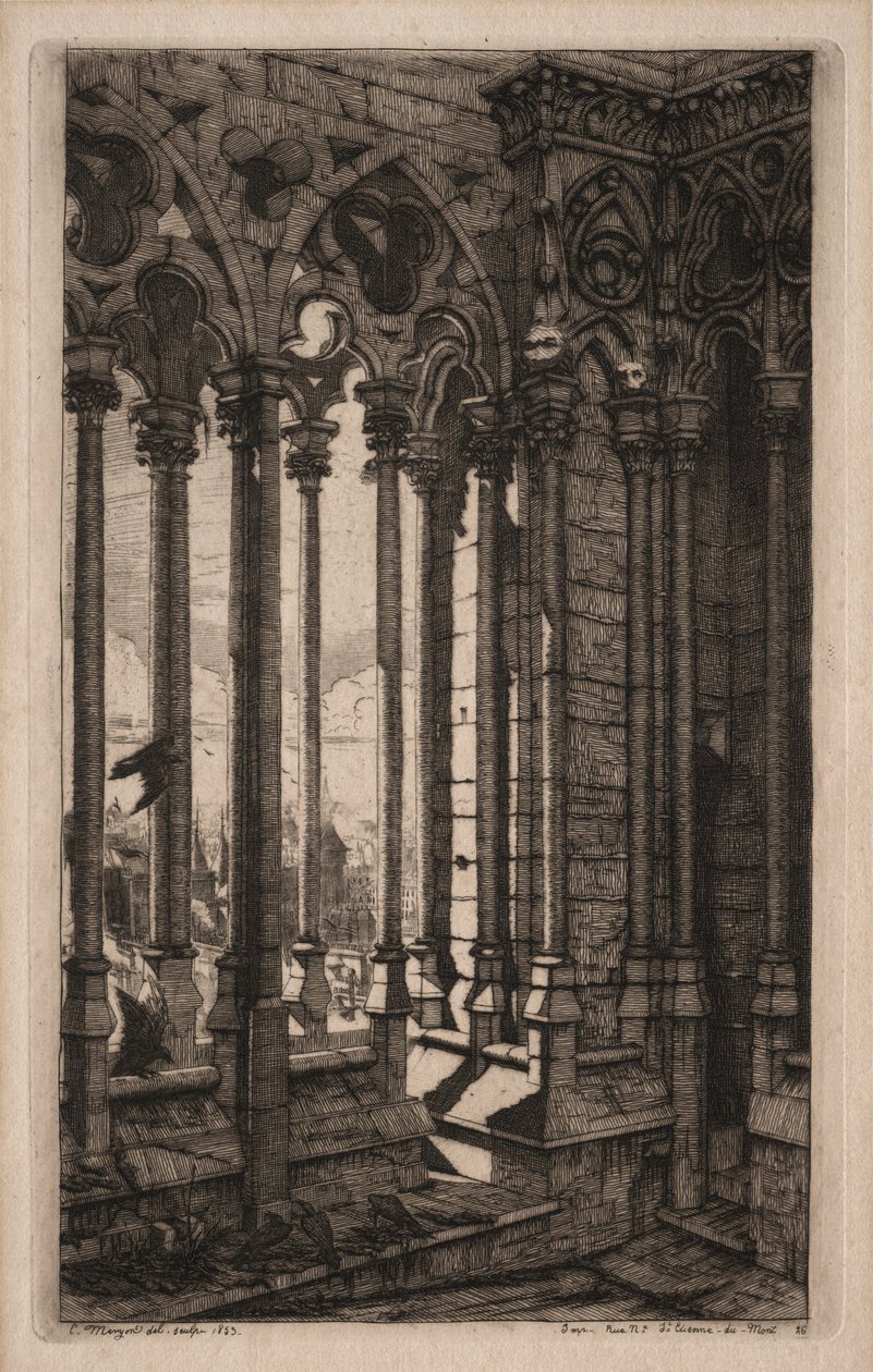 Etchings of Paris: The Gallery of Notre Dame by Charles Meryon