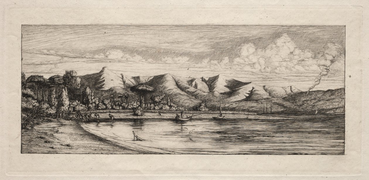 Seine Fishing off Charcoal Burners Point, Akaroa, 1865 by Charles Meryon