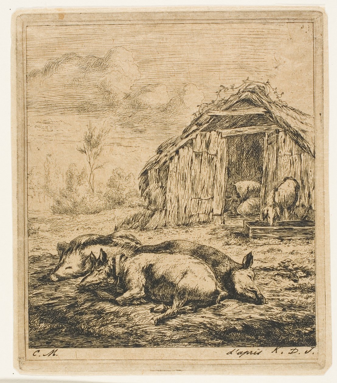 Three Pigs Lying in Front of a Shed by Charles Meryon