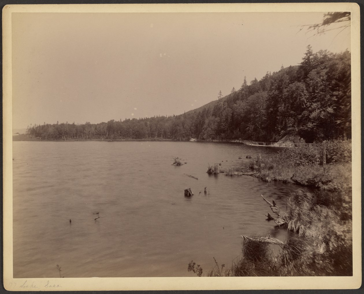 Lake Saco by Charles P. Hibbard