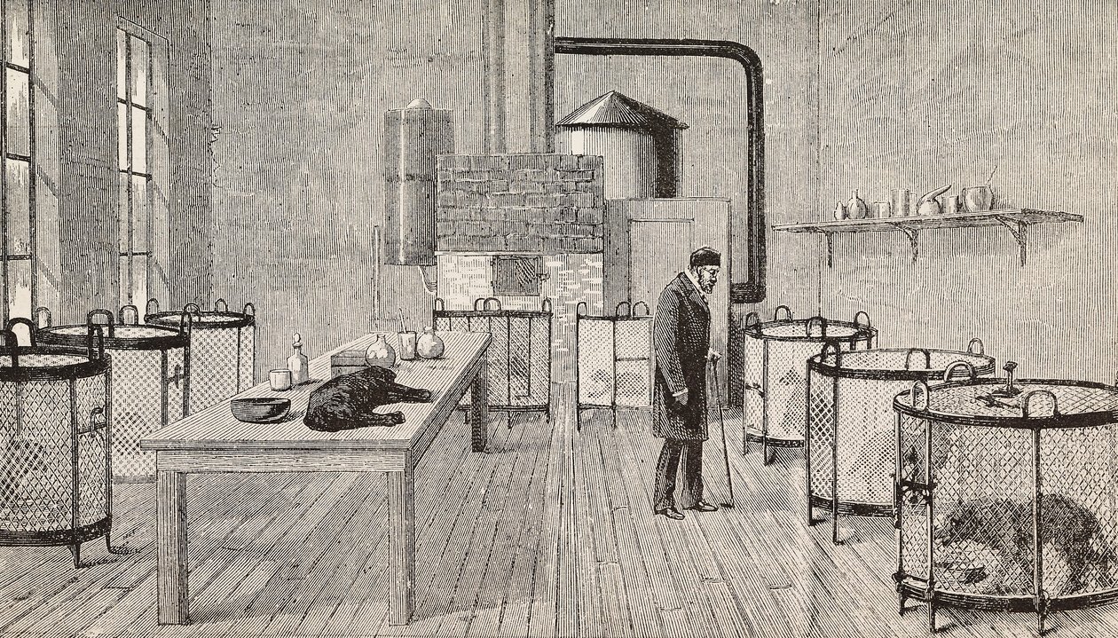Dogs in cages inside laboratory of Louis Pasteur, Paris, France, engraving from L