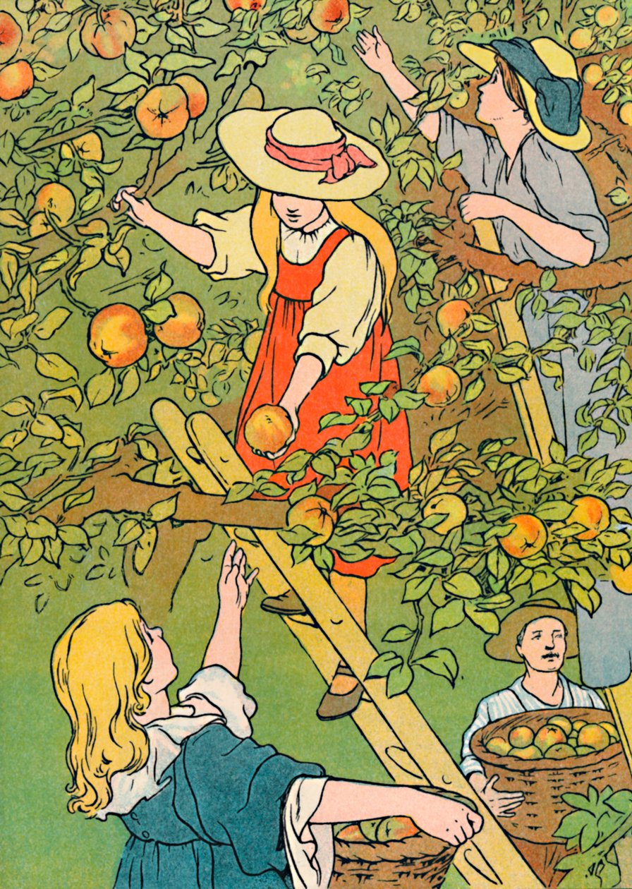 Picking the Fruit, 1912 by Charles Robinson
