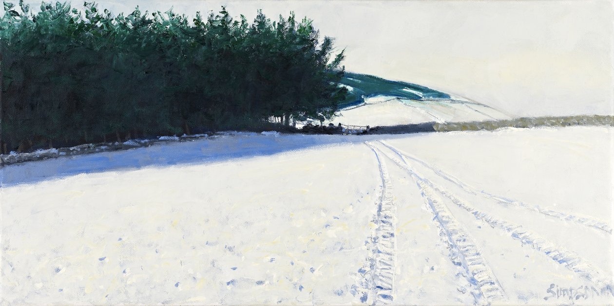 Dark Trees & Snow, 2011 by Charles Simpson