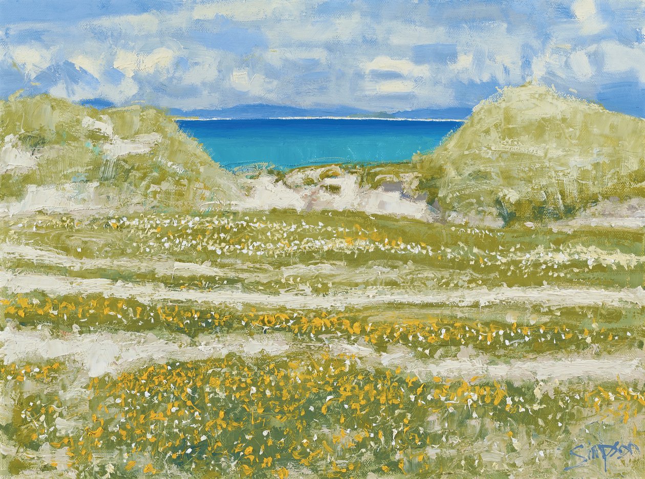 Glimpse of Harris, 2014 by Charles Simpson