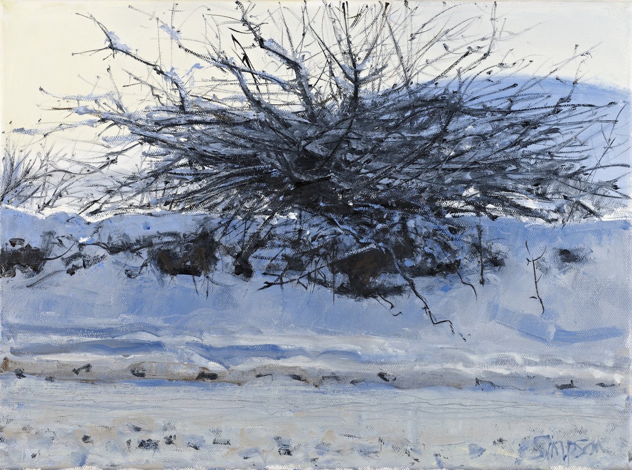 Hawthorn, 2011 by Charles Simpson