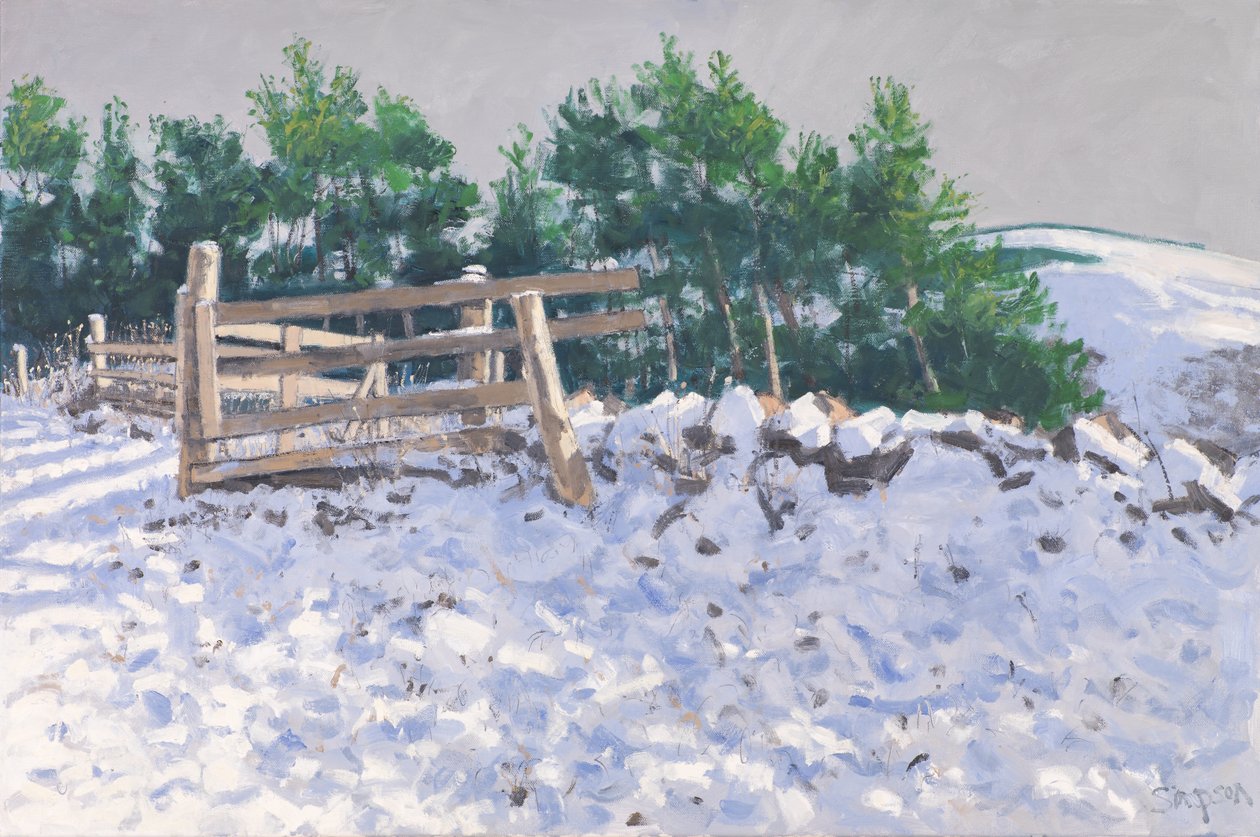 Small Wood, Torwoodlee, 2017 by Charles Simpson