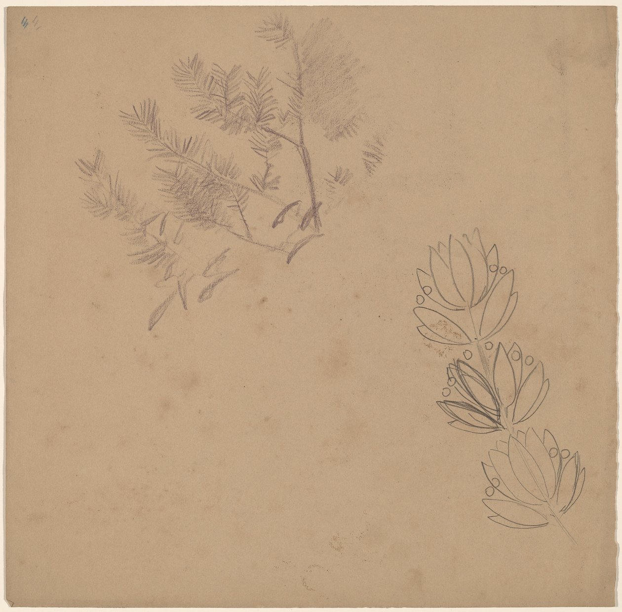Study for a Border Design with a Sketch of a Tree by Charles Sprague Pearce