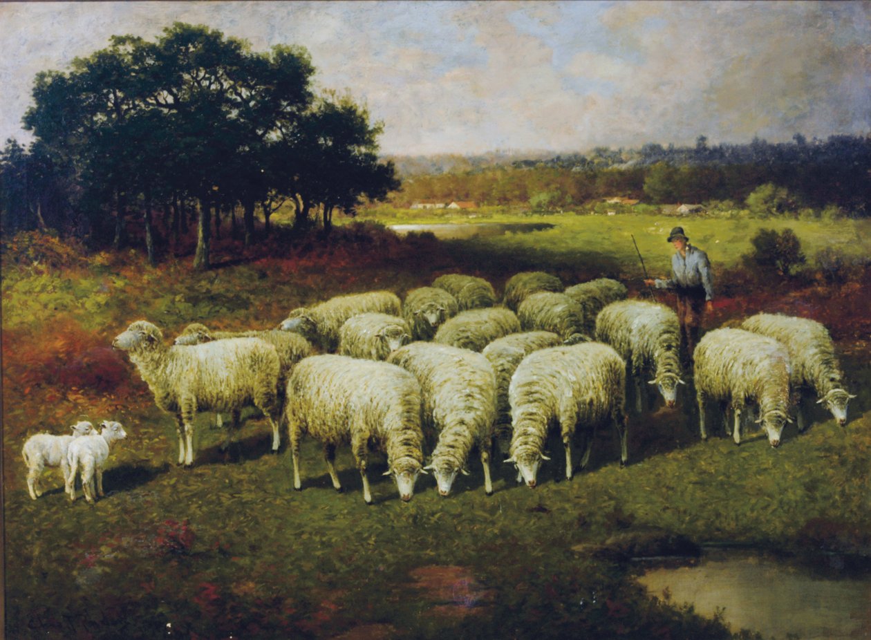 A Shepherd with His Sheep Out in the Field by Charles T. Phelan