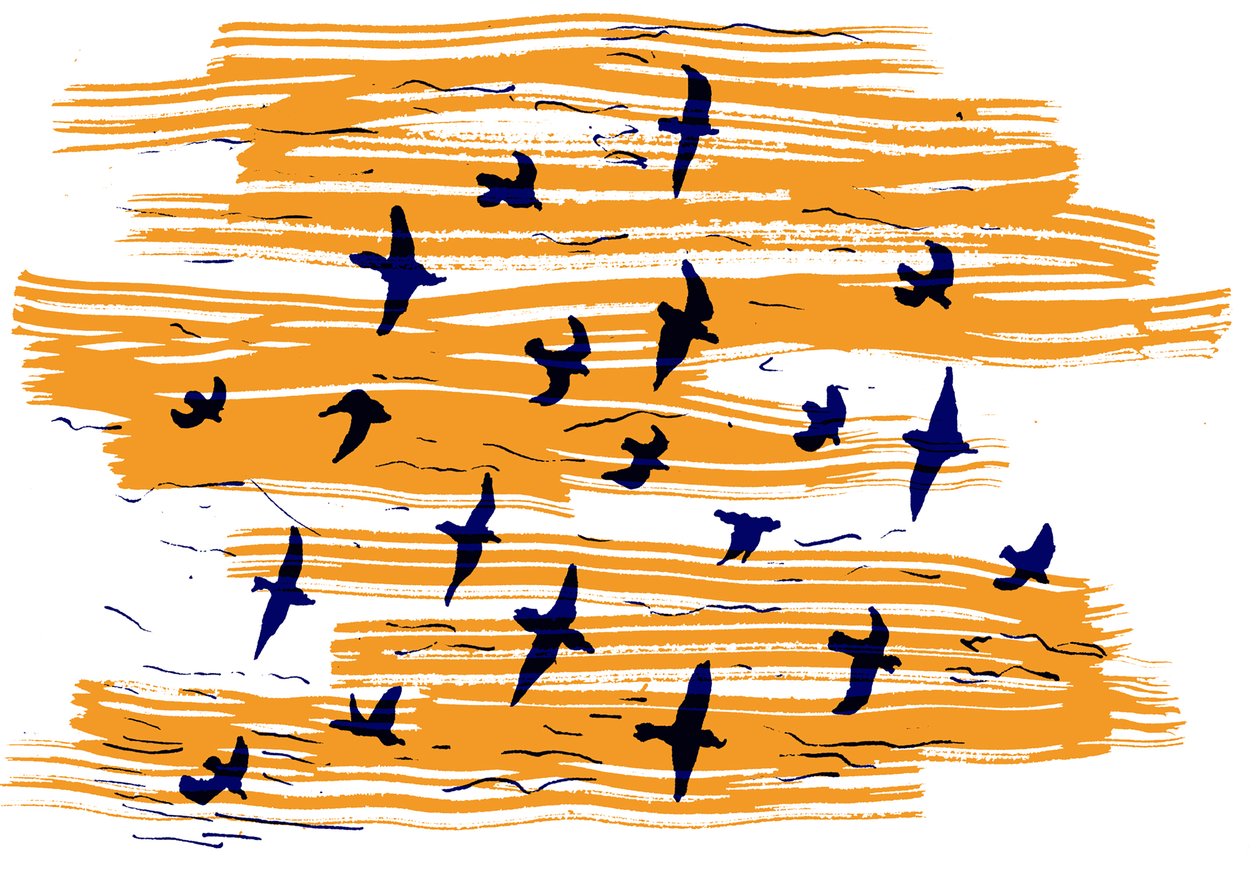 Birds Flying, 2020 by Charlotte Orr