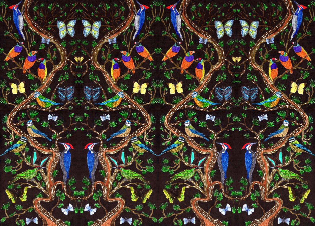 Birds and Butterflies, 2019 by Charlotte Orr