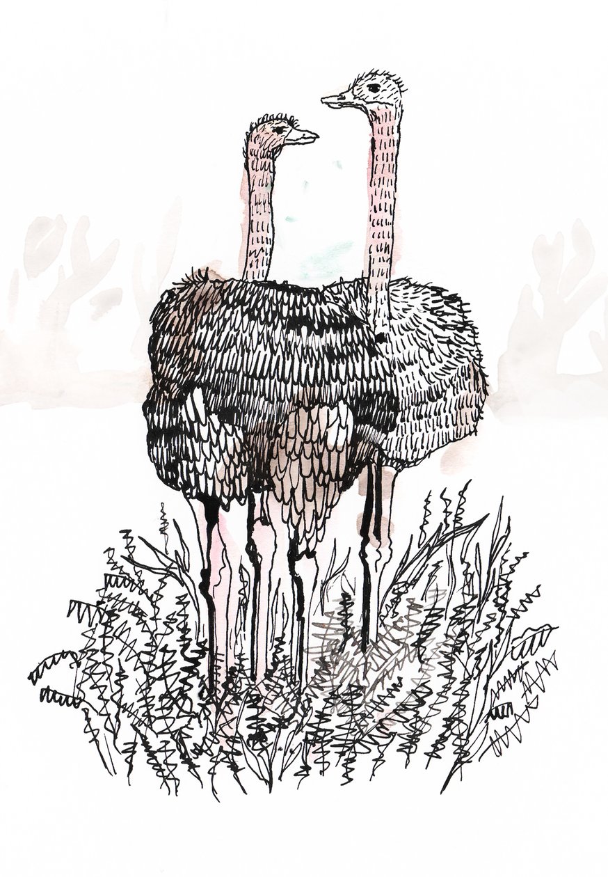 Flamingos, 2018 by Charlotte Orr