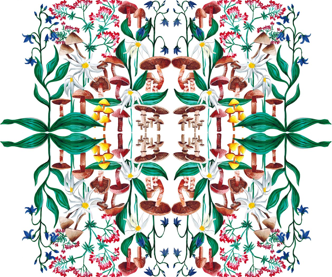 Wild Plants by Charlotte Orr