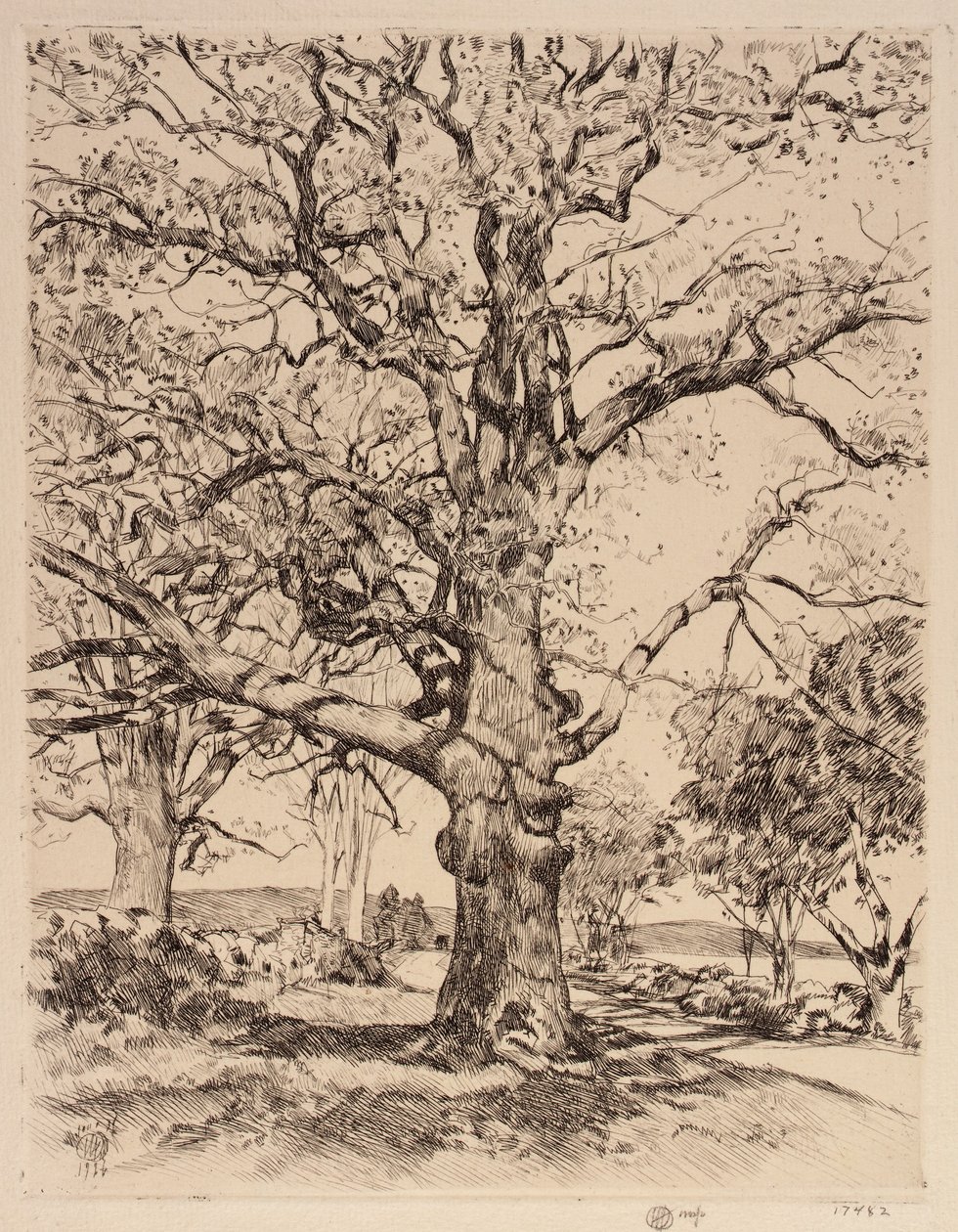 Wayside Inn Oaks in Spring by Childe Hassam