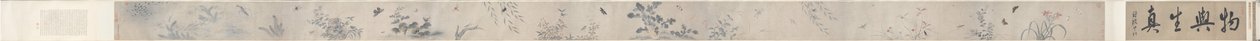 Insects and Flowers by China, Qing dynasty
