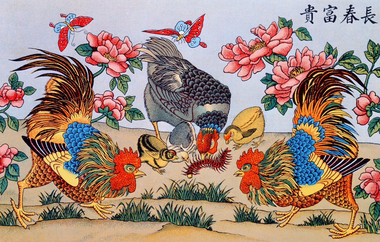 Cock Killing a Millipede (illustration from Recherches sur les superstitions en Chine, published in Shanghai by Imrimerie de la Mission Catholique, 1929) by Chinese School