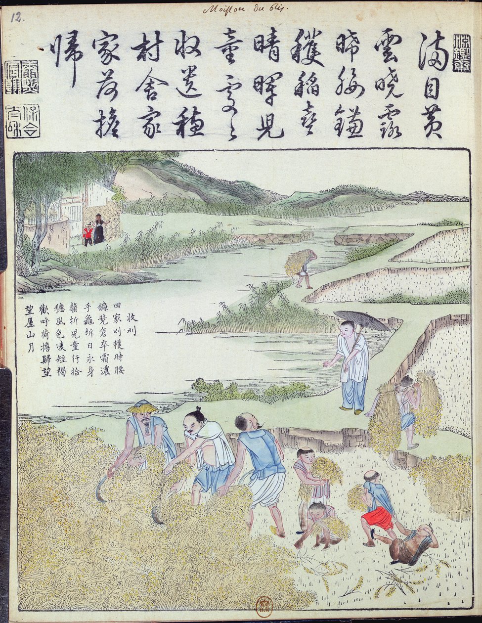 Harvest, The Rice Culture in China by Chinese School