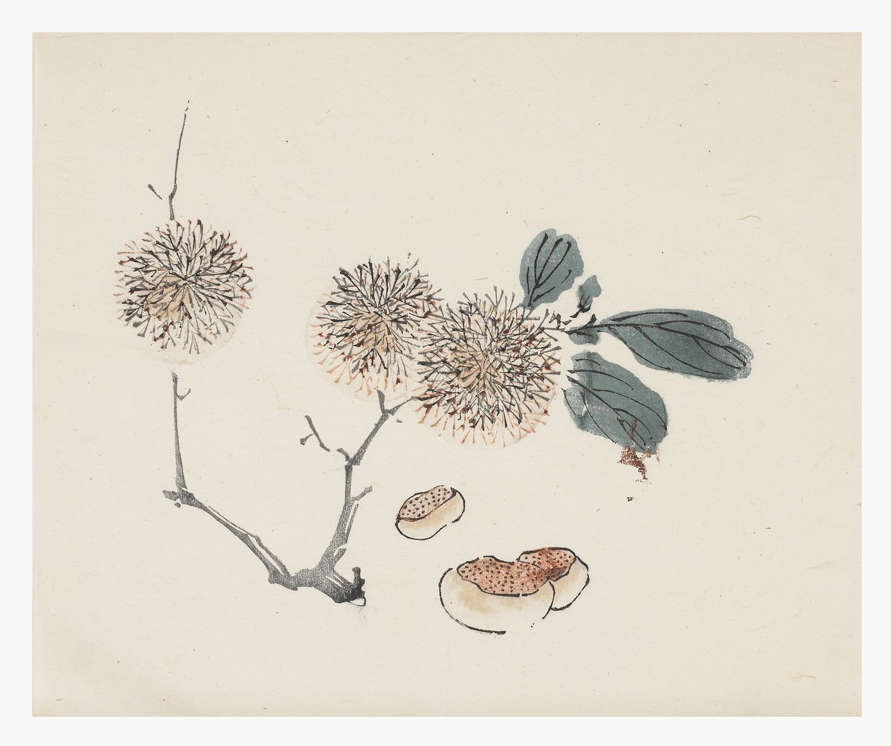 Ten Bamboo Series, 18th century by Chinese School