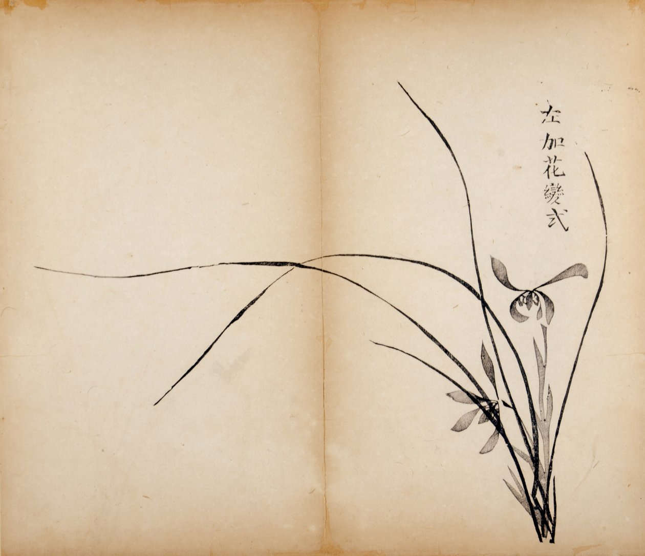 Ten Bamboo Studio Prints by Chinese School