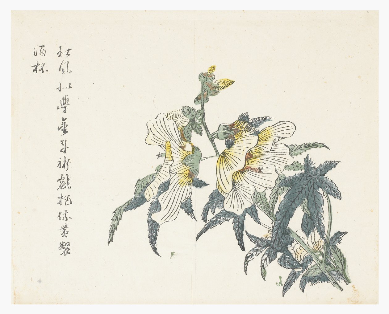 Mustard Seed Garden by Chou Huang (after)