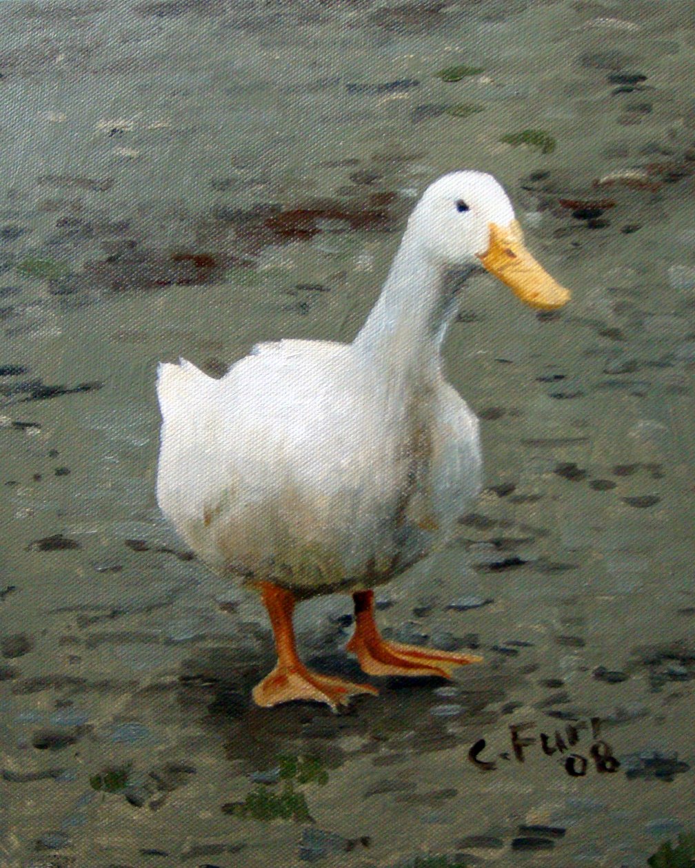 Goose by Christian Furr