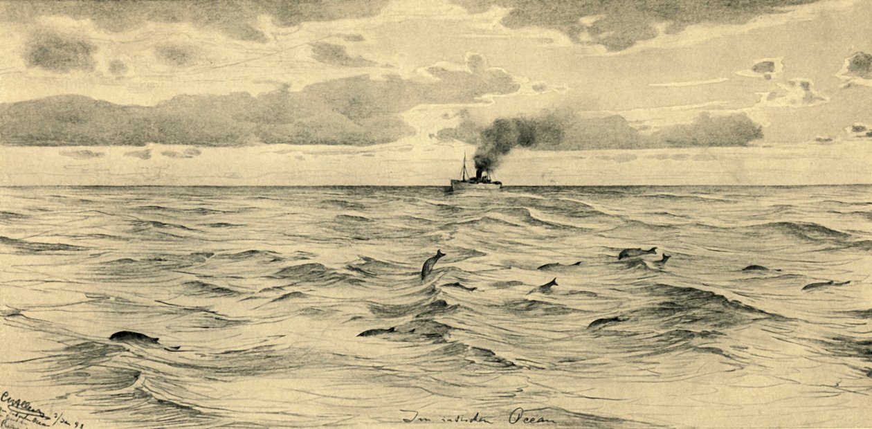 Steamship on the Indian Ocean by Christian Wilhelm Allers