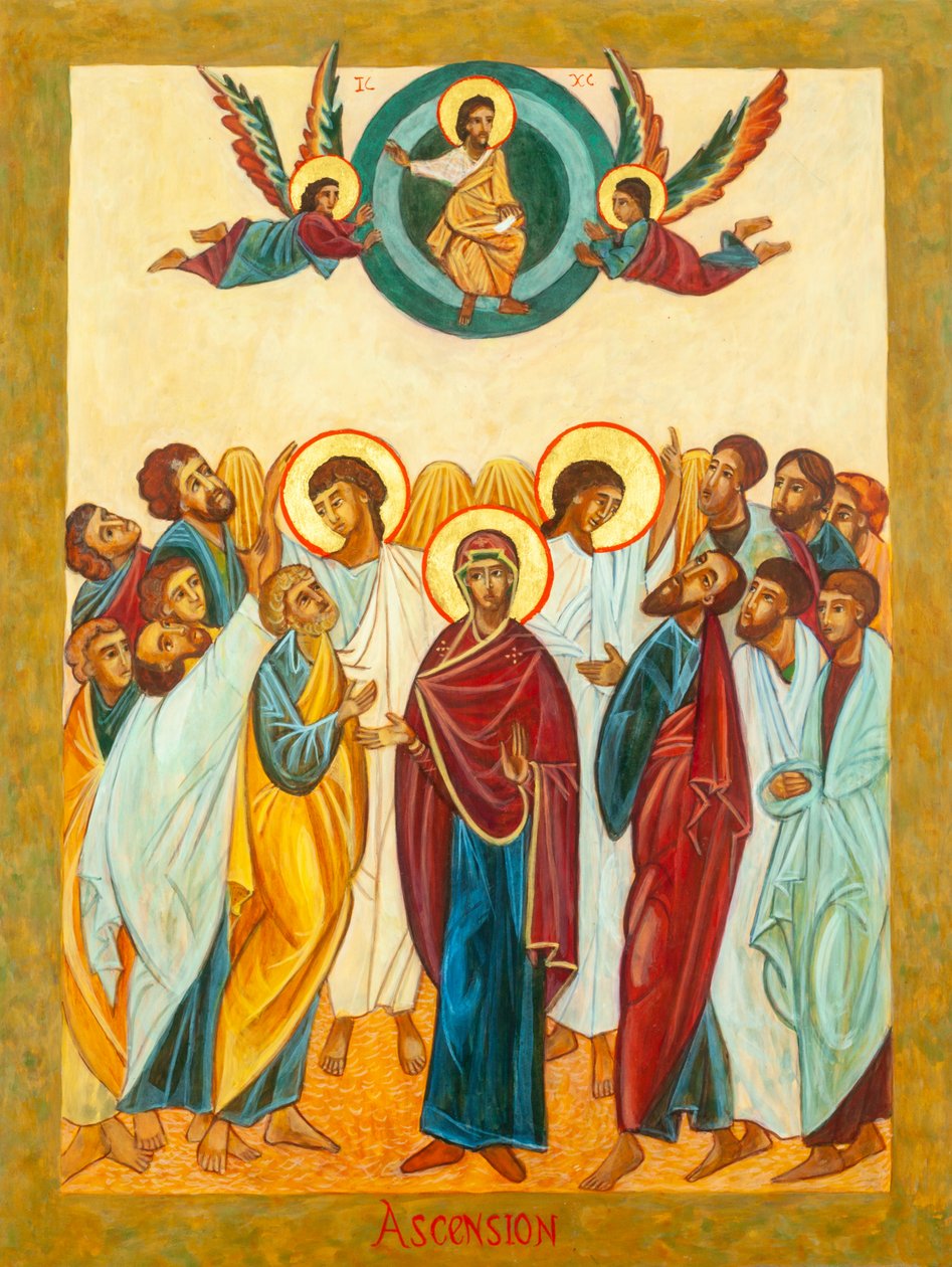The Assumption by Christine Hales