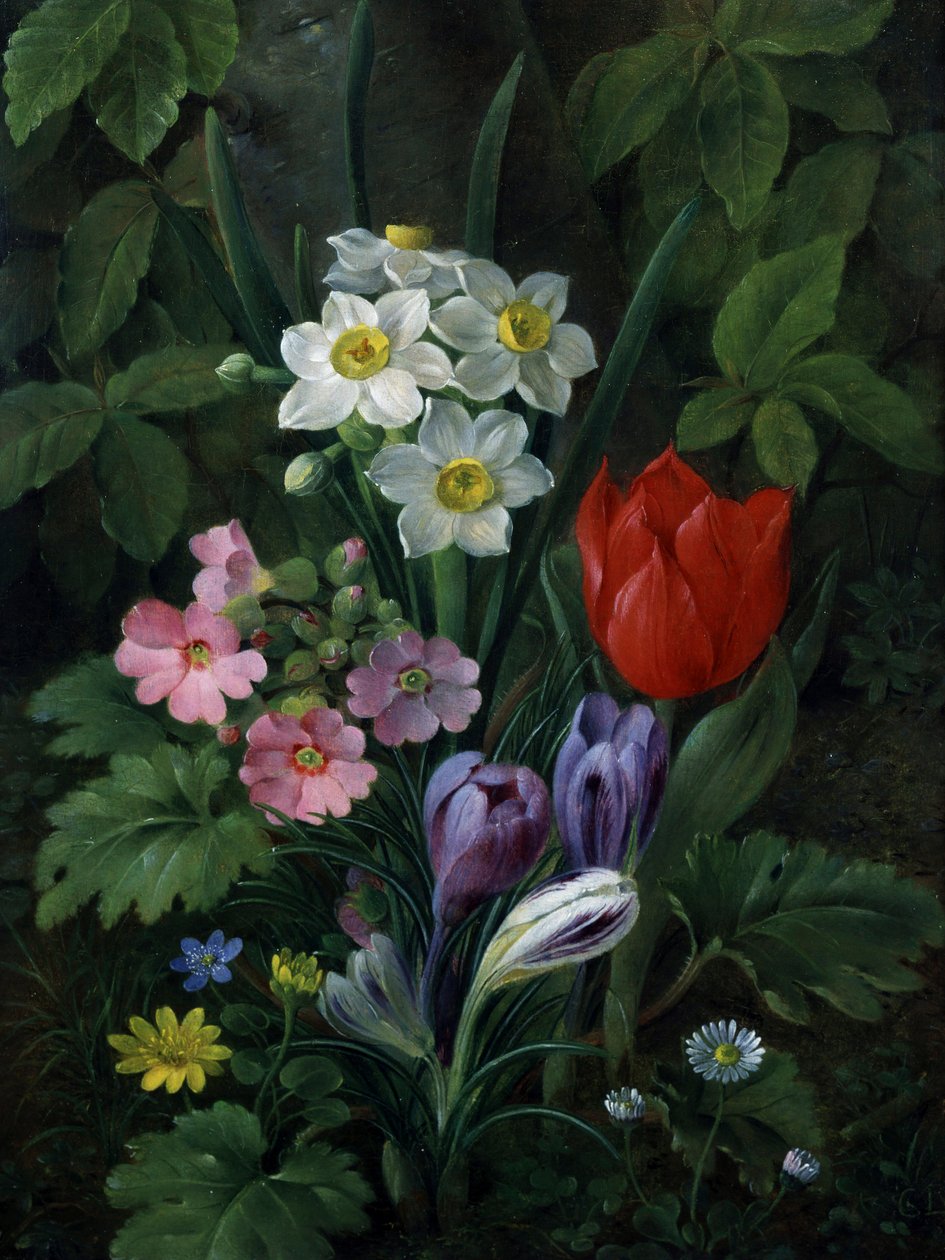 Garden Flowers in Spring (including daisies, tulips, daffodils, crocuses, and primroses) by Christine Lovmand