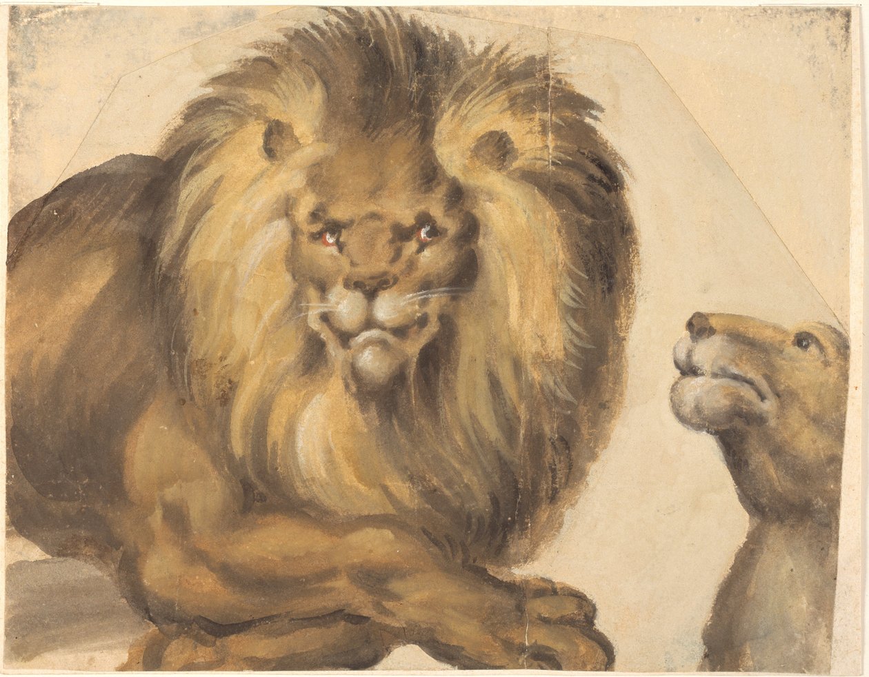 The Forepart of a Male Lion and the Head of a Female Lion by Christoph Amberger