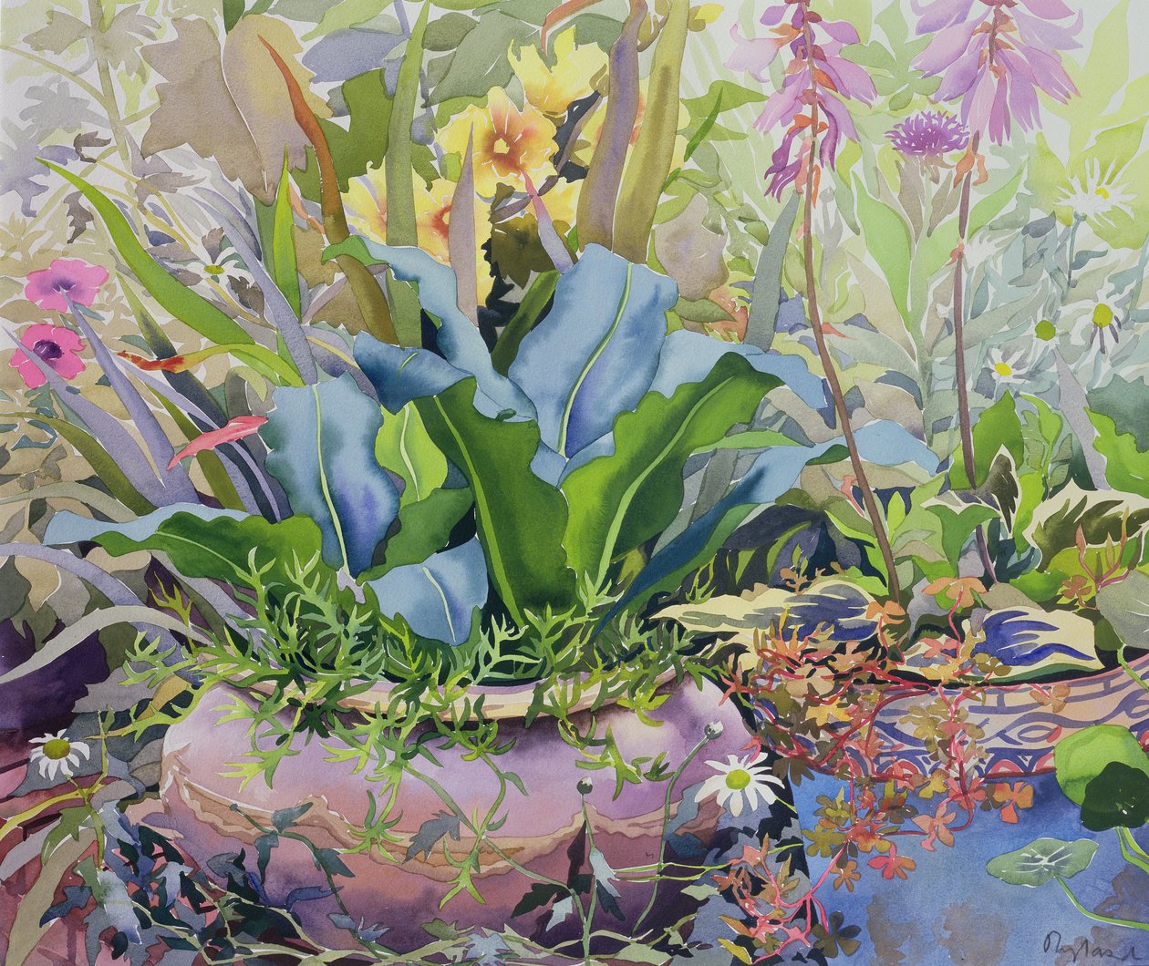 Garden with Plants, 2000 by Christopher Ryland