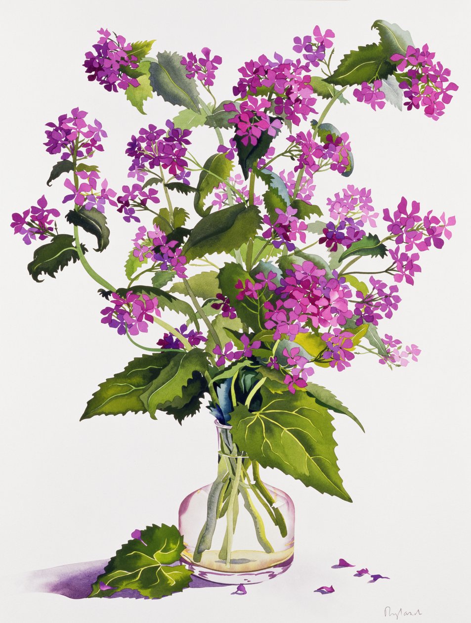 Honesty by Christopher Ryland