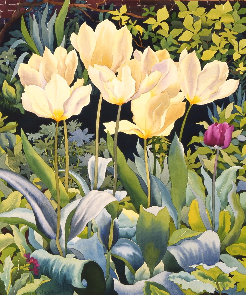 Pale Tulips by Christopher Ryland