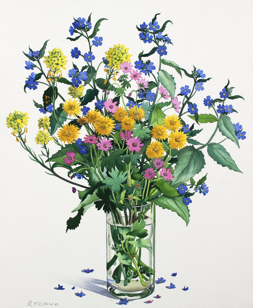 Wild Flowers with Alkanet by Christopher Ryland