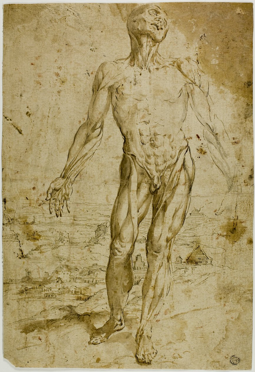 Flayed Figure before Landscape (front); Sketches of Standing Male Nude, Seated Child, Stooping Woman (back) by Circle of Titian