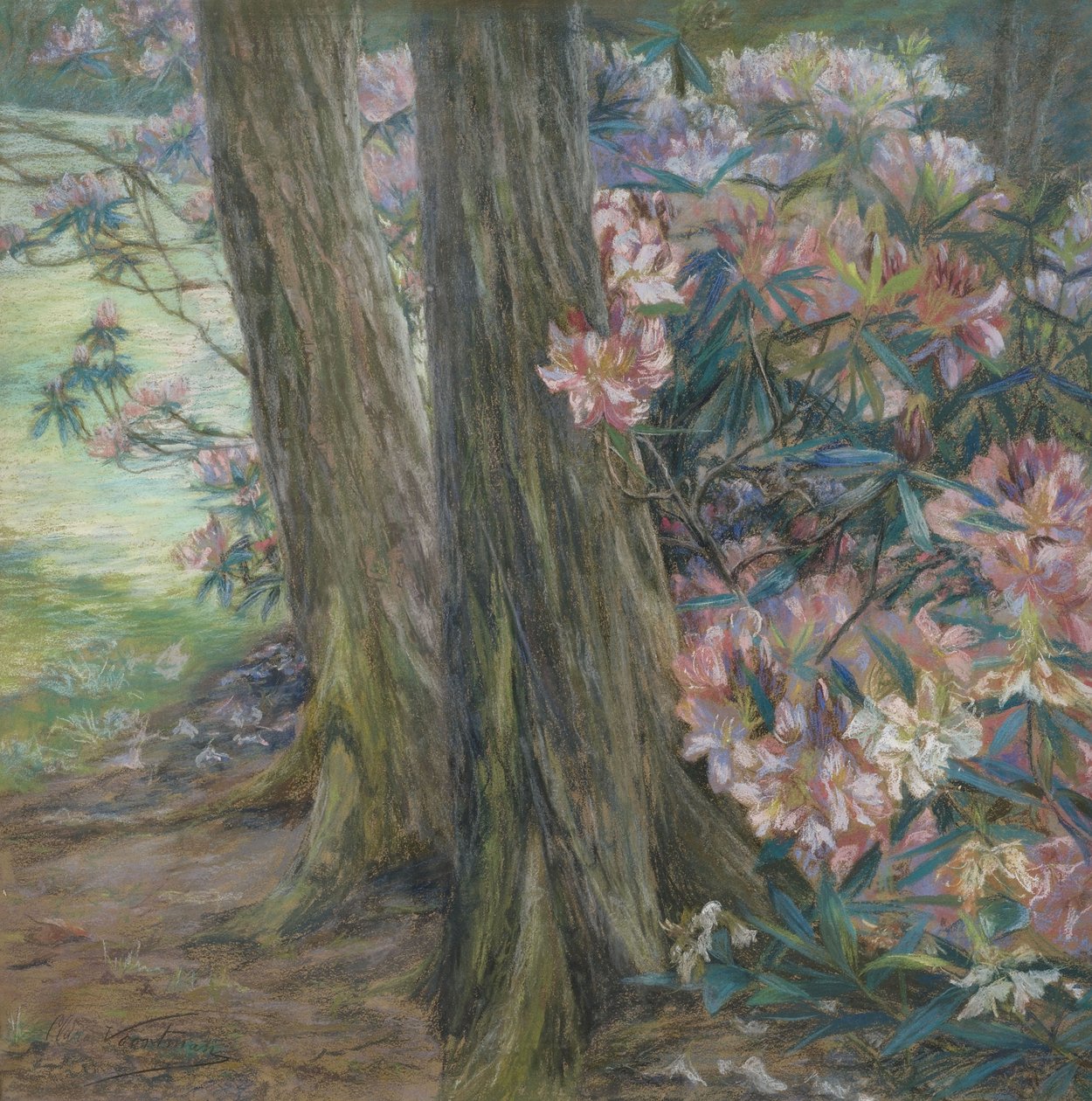 Clara Voortman Rhododendron Bush by Clara Voortman