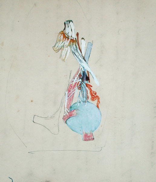 Nervous system in the head of a cat, 25th May 1842 by Claude Bernard