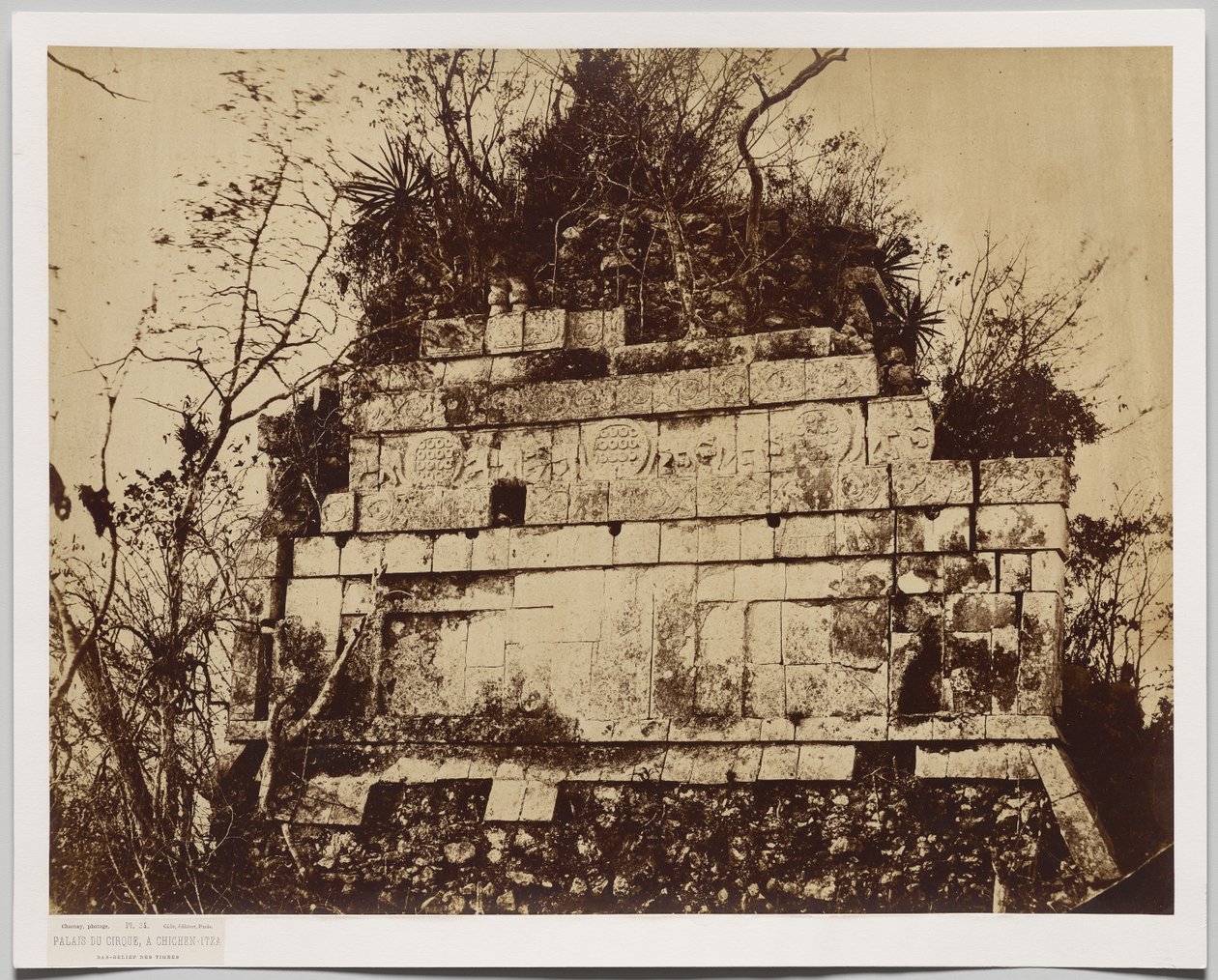 Palace of the Circus at Chichen-Itza (bas relief of tigers) by Claude Joseph Désiré Charnay