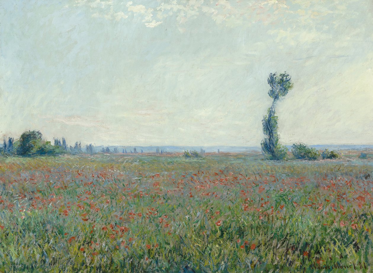 Poppy Field, 1881 by Claude Monet